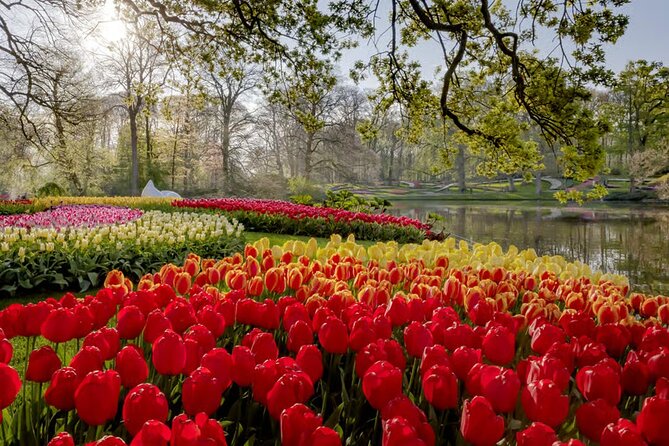 Amsterdam: Keukenhof, Zaanse Schans & Volendam Tour - Amsterdam Break: Lunch on Your Own Before the Gardens Rush