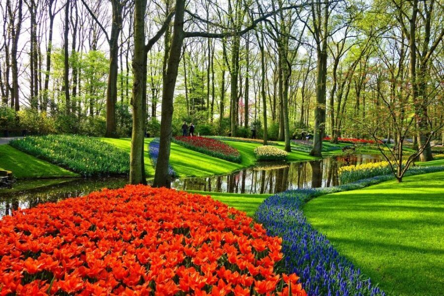 Amsterdam: Keukenhof & Zaanse Schans Windmills Private Tour - Henri Willig Kaas BV: the planned break that tastes like a memory
