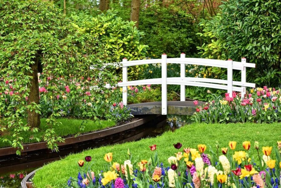Amsterdam: Keukenhof & Zaanse Schans Windmills Private Tour - Price and value: what $497 per person is really buying