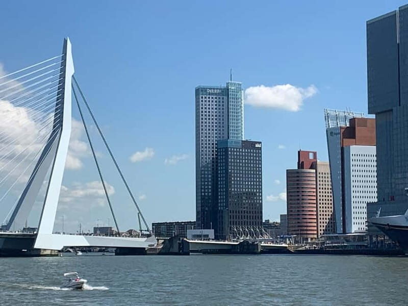 Amsterdam: Kinderdijk, Euromast, Delft and Den Haag Day Tour - Should you book this Amsterdam to Kinderdijk, Euromast, Delft, and The Hague tour?