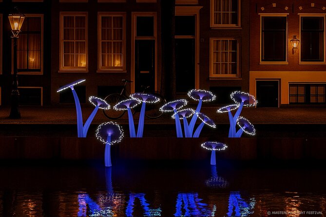 Amsterdam: Light Festival Boat with Unlimited Drinks & Snack - Drinks and snacks: value, the 18+ alcohol rule, and nut-allergy notes