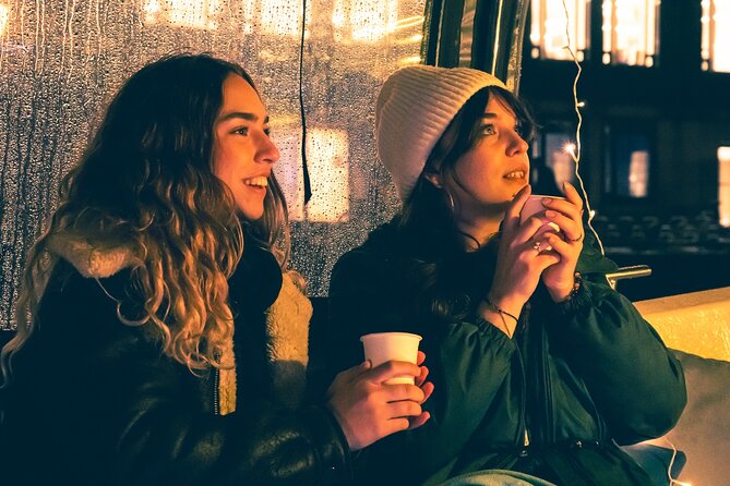 Amsterdam: Light Festival Cruise with Unlimited Drinks Option - The Canal Route: Amstel River, Romantic Bridge Views, and Central Station From the Water
