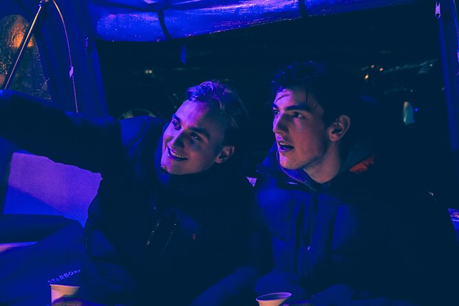 Amsterdam: Light Festival Cruise with Unlimited Drinks Option - Guides on Board: Better Stories, Better Views, and One Hearing Trick