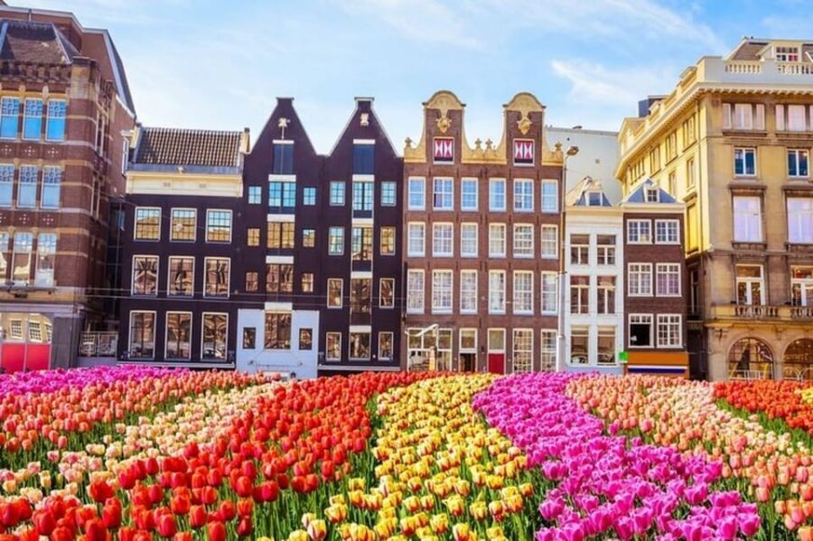 Amsterdam: Must-See Attractions Guided Walking Tour - Portuguese Synagogue and Nieuwmarkt Square: neighborhood texture