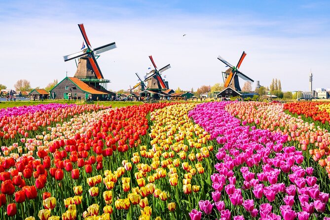 Amsterdam Pass: 45+ Things To Do - Includes Rijksmuseum - Modern Art and Big Views: Moco Museum, A’DAM Lookout, Our House