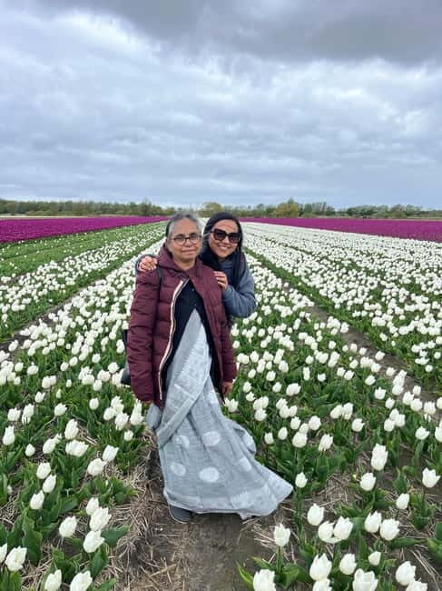 Amsterdam: Private Keukenhof and Free Tulip Tour - The Van Ride Experience: WiFi, Water, and a Small-Group Advantage