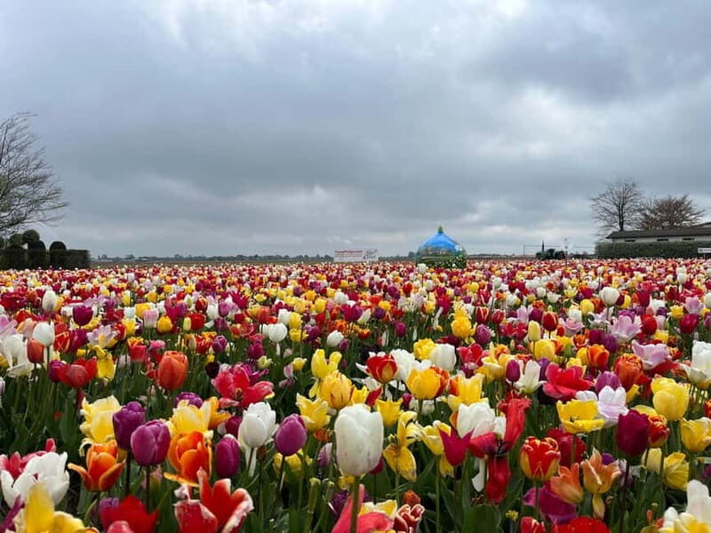 Amsterdam: Private Keukenhof and Free Tulip Tour - Customization That Actually Helps (Not Just on Paper)