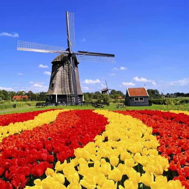 Amsterdam: Private Keukenhof and Free Tulip Tour - Keukenhof Gardens for 4 Hours (and Why It’s a Sweet Spot)