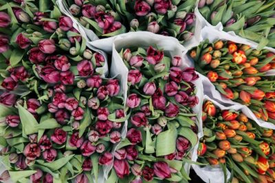 Amsterdam Private Tour: Highlights & Hidden Gems by Bike or Foot - Dam Square and the Royal Palace: power, not just postcards