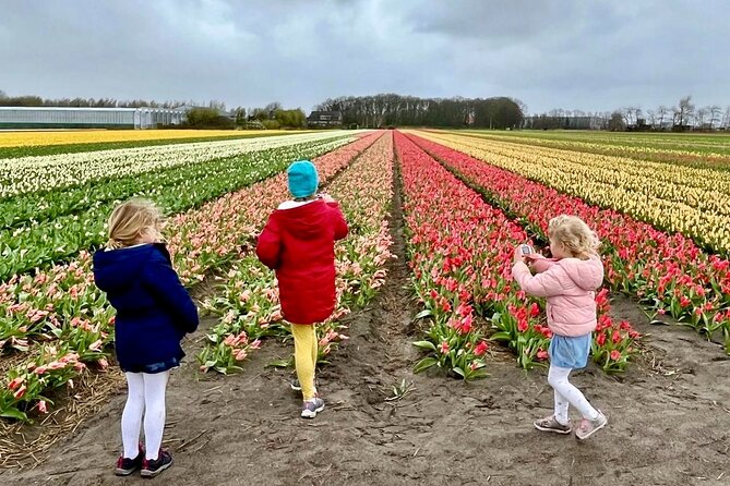 Amsterdam Private Tour to Keukenhof, Tulip Fields and Windmills - Private Door-to-Door Beats the Amsterdam Shuffle