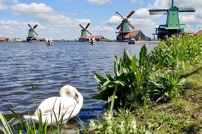 Amsterdam private tour to windmills, cheese farm and villages - How this private van ride really pays off