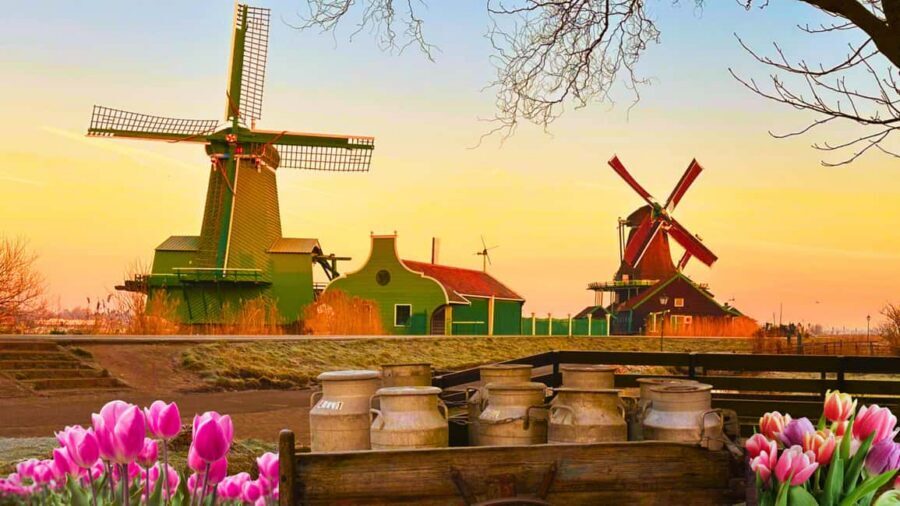Amsterdam : Private Tour Zaanse Schans - Key Things You’ll Notice on This Tour