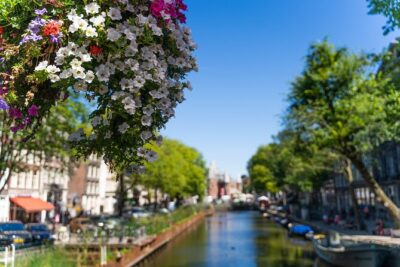 Amsterdam Private Walking Tour - Meeting at Beursplein and building momentum right away