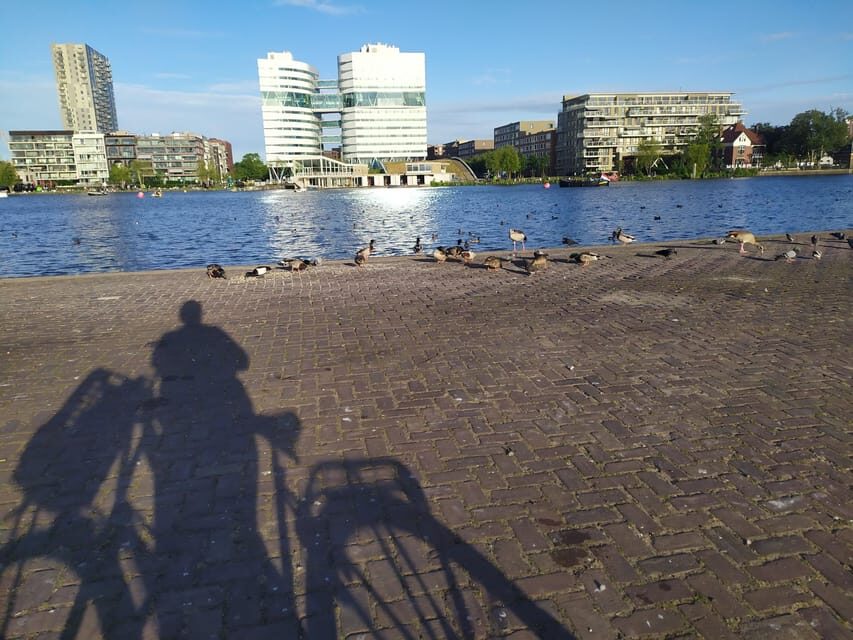 Amsterdam: Rainbow Rural Bike Tour With Local Gay Guide - Dykes and water: the engineering story you can see