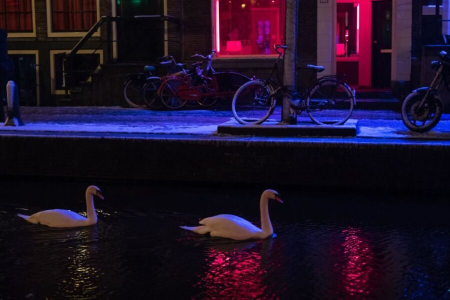 Amsterdam: Red Light District and Coffeeshop Culture Tour - Key Takeaways Before You Go