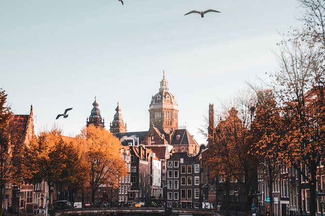 Amsterdam Red-light District Tour for Groups English or German - Chinatown Edges and Canal Details You’ll Actually Notice