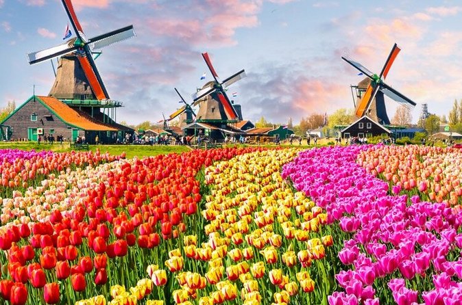 Amsterdam Self-Guided Audio Tour - Centraal Station and OBA Library: the city’s “why” in 40 minutes