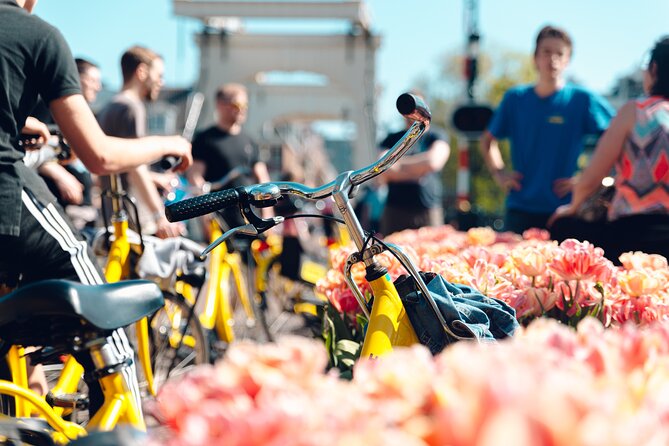 Amsterdam Small Group Bike Tour - Key highlights that matter on the ground