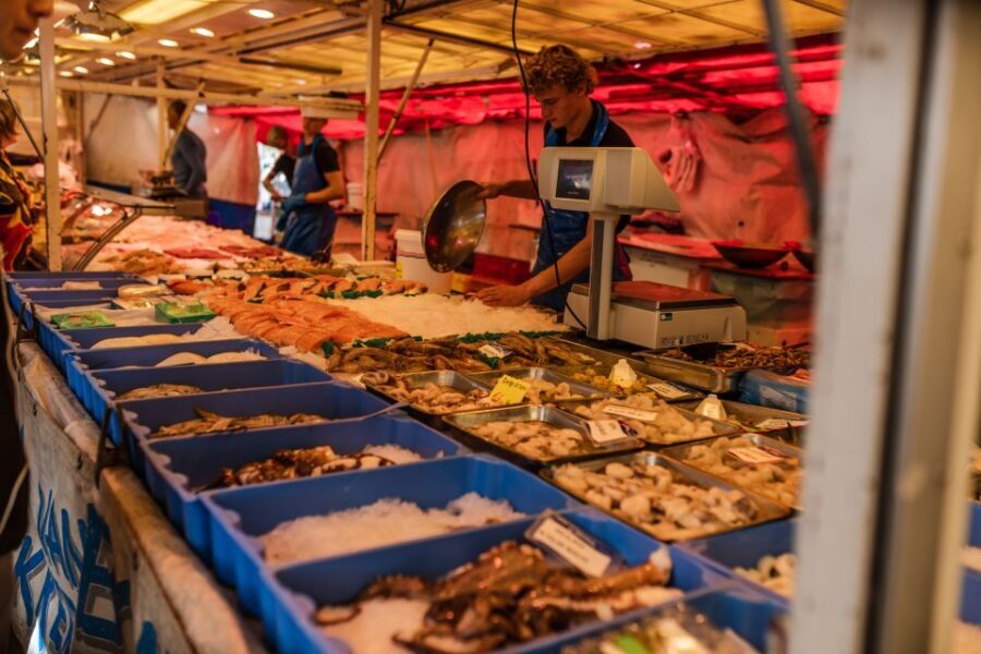Amsterdam to Haarlem: Private Day-Trip Experience - Price and Value: Is $182 per Person a Fair Deal?
