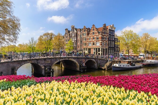 Amsterdam to Schiphol Airport Private Transfer - Price and Value: Does $73.21 Make Sense?