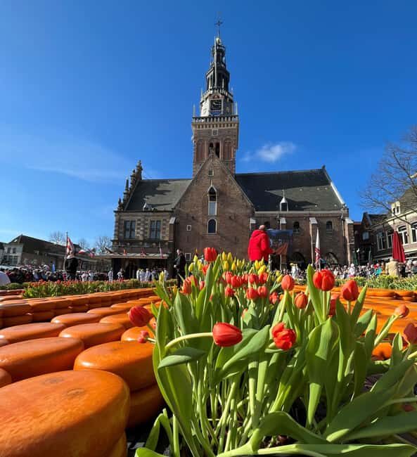 Amsterdam: Traditional Cheese Market Tour to Alkmaar - Friday Cheese Market Rhythm: Getting There From Amsterdam