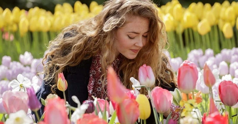 Amsterdam: Tulip Farm Visit, Keukenhof, and Windmill Cruise - Tulip farm visit near Voorhout: the Daan and Anja part you’ll remember