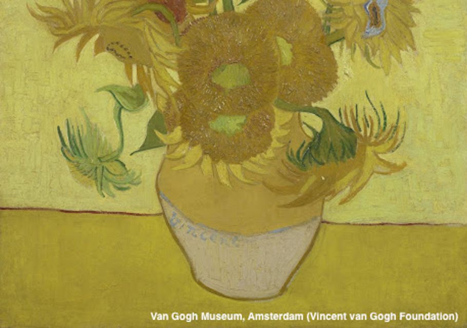 Amsterdam: Van Gogh Museum Guided Tour with Entry - Technique and biography: what the Spanish guide teaches (and how you benefit)