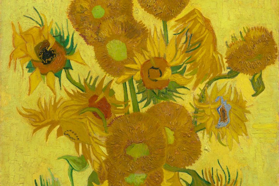 Amsterdam: Van Gogh Museum Ticket - Audio guide value: when it’s worth it and when it can feel limited
