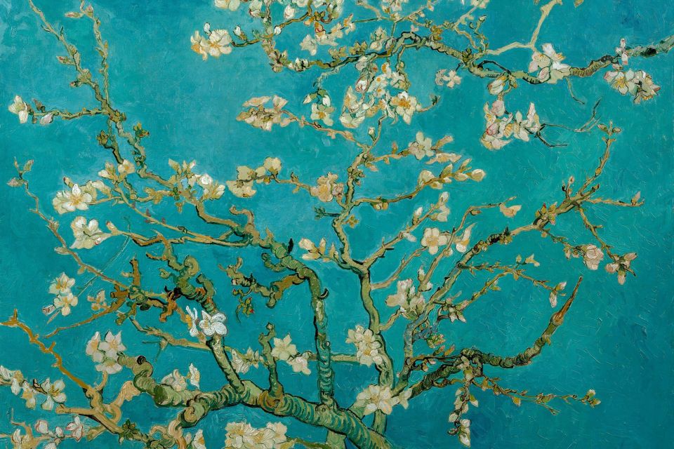 Amsterdam: Van Gogh Museum Ticket & Canal Cruise - The museum experience flow: where to start
