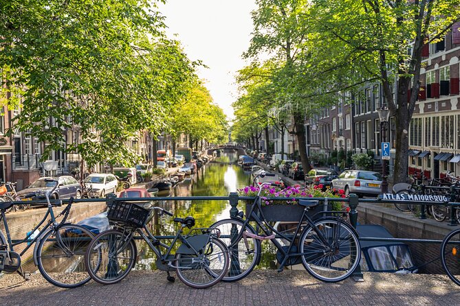 Amsterdam Walking Tour and Cruise with Drinks and Cheese Tasting - Central Station switch-over: where the cruise starts (and how to avoid the mix-up)