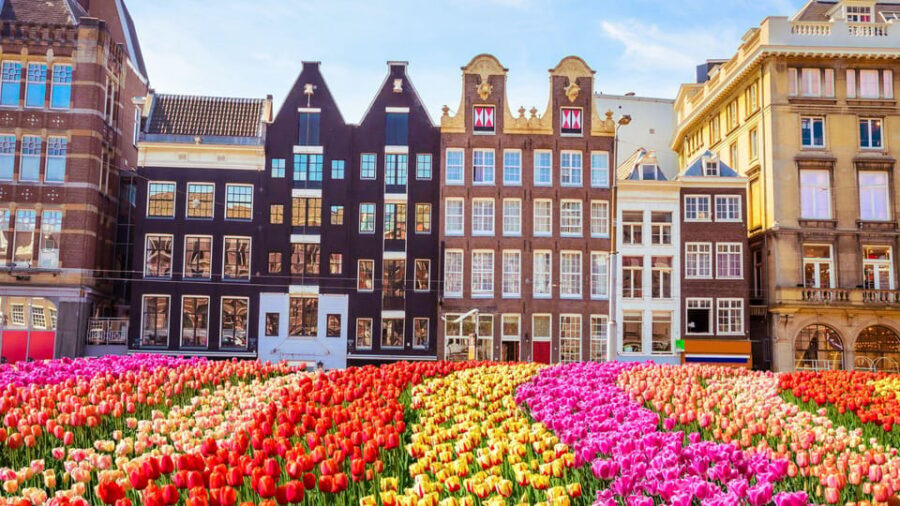 Amsterdam Walking Tour with a Local - The first phase: neighborhood orientation (where the tour pays off)