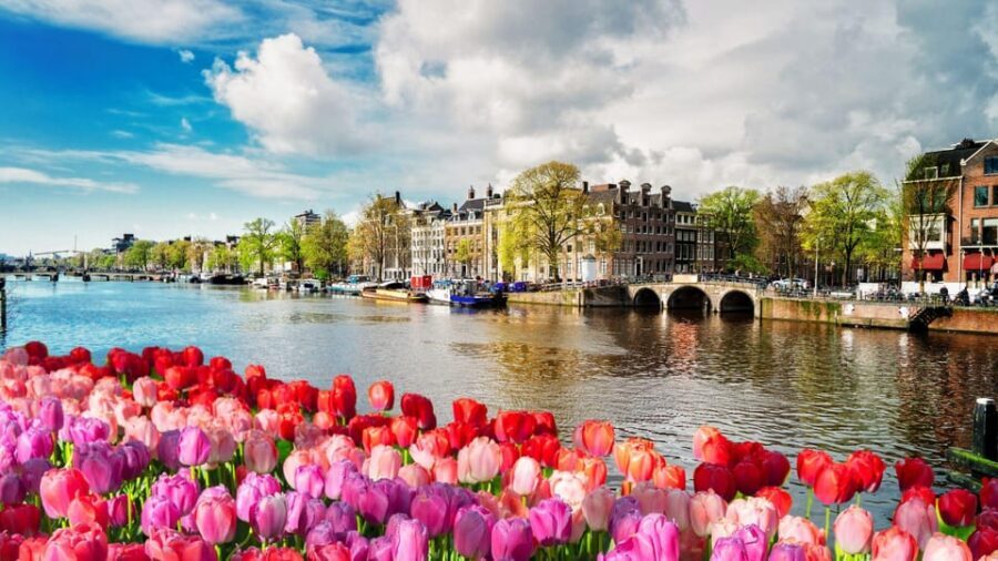 Amsterdam Walking Tour with a Local - Who should book this tour—and who might skip it