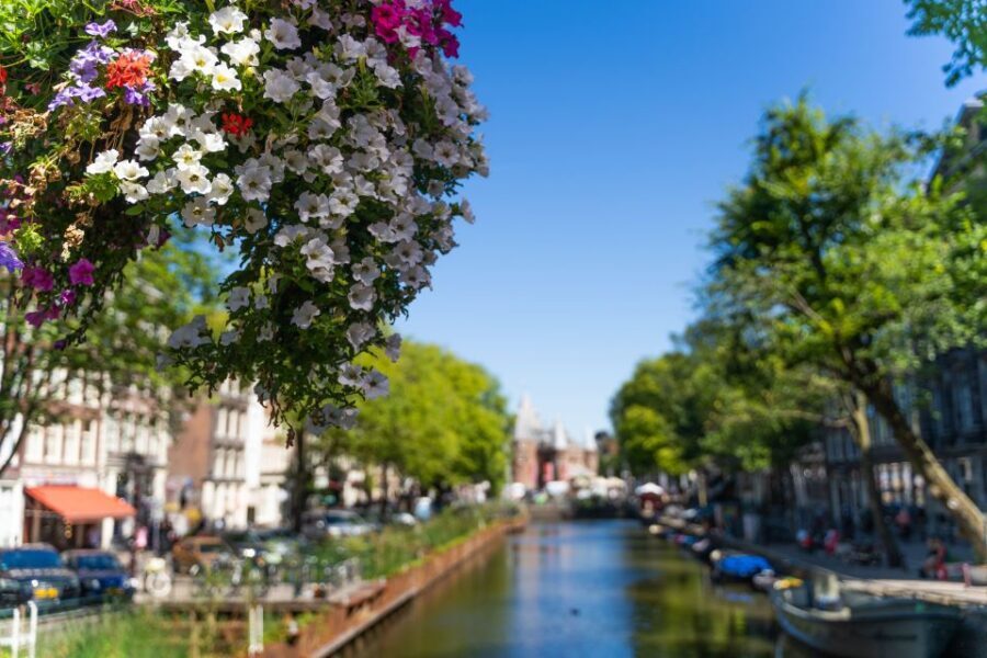Amsterdam Walking Tour with Cheese Tasting - FAQ