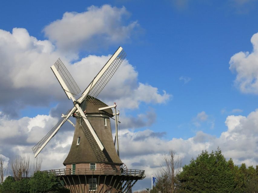 Amsterdam: Windmill Guided Tour - Key highlights worth your time
