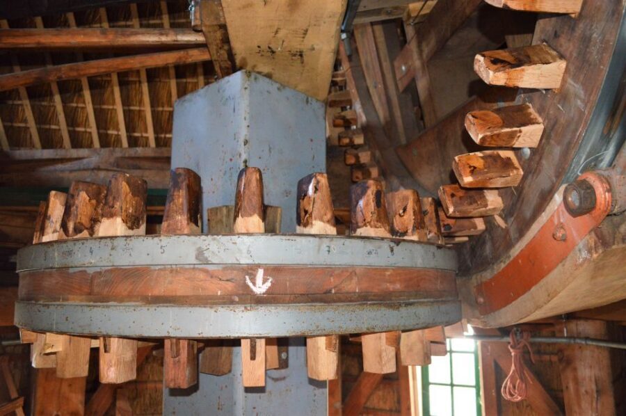 Amsterdam: Windmill Guided Tour - Language options and guide style you can expect