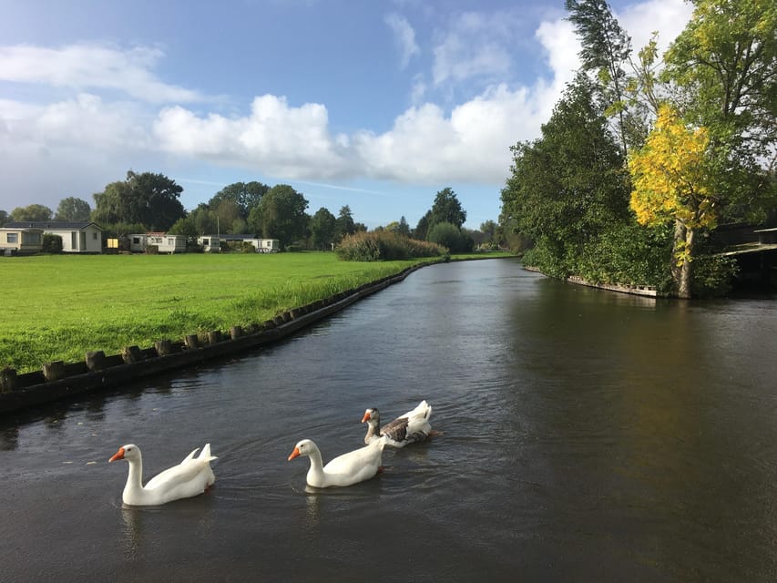 Amsterdam: Zaanse Schans and Giethoorn Day Trip with Cruise - What’s included: the value you actually get for $140