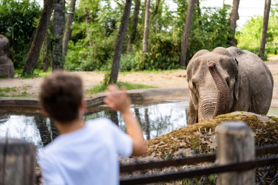 Arnhem: Burgers' Zoo Entry Ticket - Entering the Bush rainforest: humidity, dense vegetation, and jungle sounds