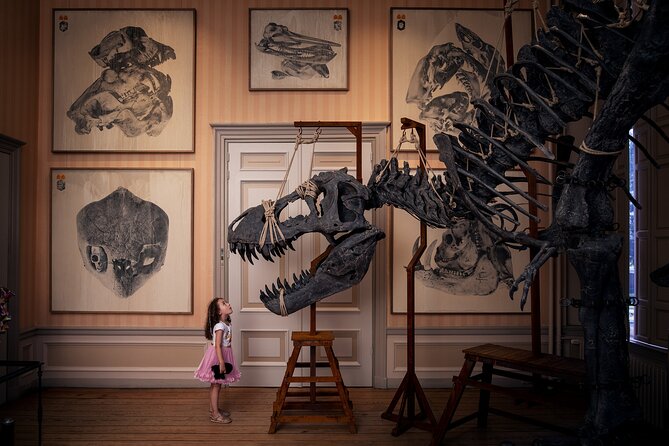 Art Zoo Museum Amsterdam Tickets - Key things that make this ticket work