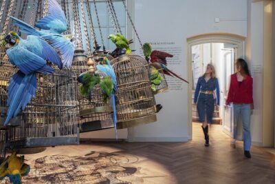 Art Zoo Museum Amsterdam Tickets - Skip-the-line entry and choosing your time slot