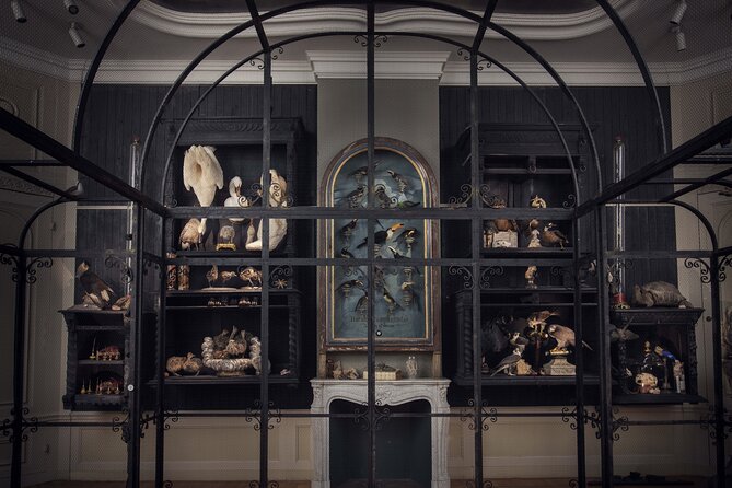 Art Zoo Museum Amsterdam Tickets - Stop 1: Art Zoo Museum highlights you’ll want to plan around