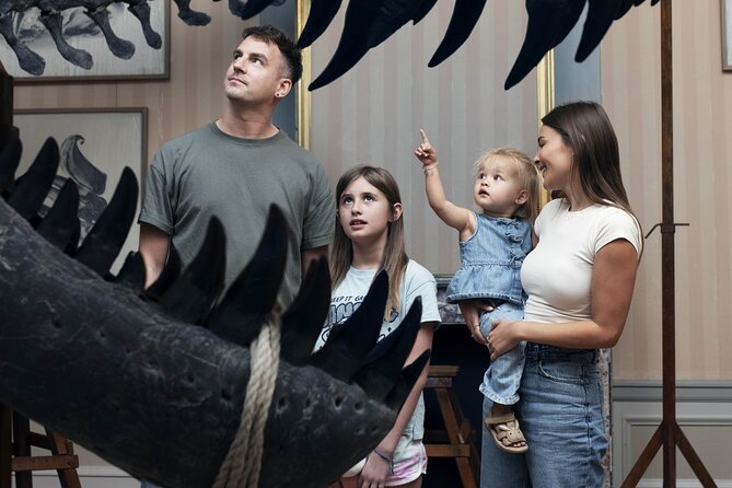 Art Zoo Museum Amsterdam Tickets - Price and value: is $21.12 per person fair?