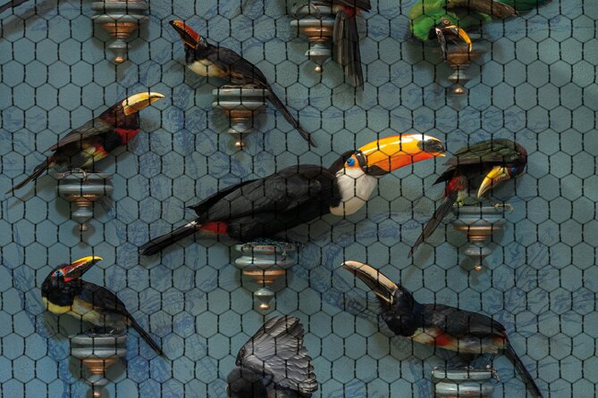 Art Zoo Museum Amsterdam Tickets - Who this fits best (and who may want to skip)