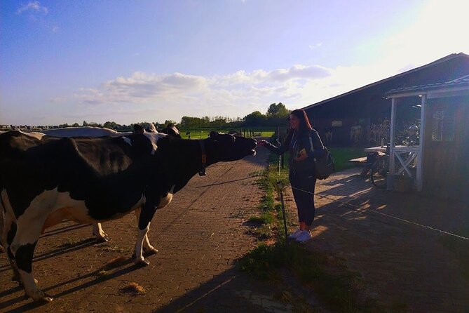 Best of Dutch Countryside: Giethoorn, Windmills, Secret Villages - The Long Drive Reality (and How to Beat It)