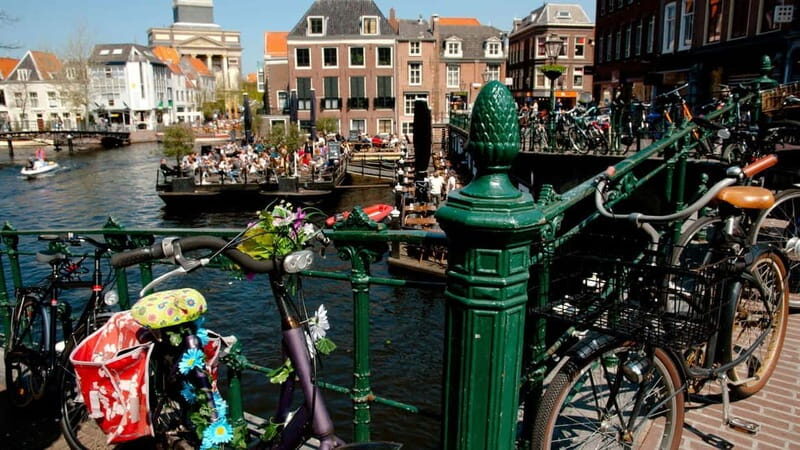 Best of Leiden: Private Walking Tour with a Local - Price and value: what $49 buys in Leiden