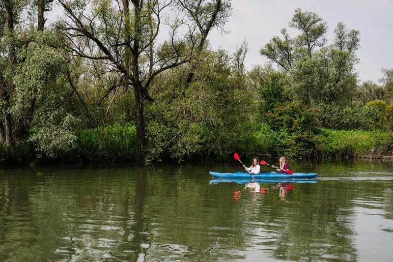 Biesbosch: Kayak Rental with Route Map and Life Jacket - Canoe Rental in Biesbosch National Park: Why This Trip Works