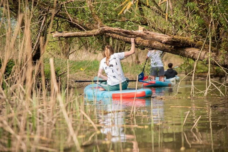 Biesbosch: Kayak Rental with Route Map and Life Jacket - Suggested Route vs. Your Own Detours