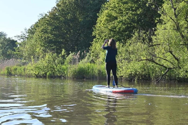 Biesbosch: SUP Board Rental - Key highlights to know before you go