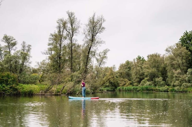 Biesbosch: SUP Board Rental - Your 90 minutes, broken down: from gear to paddle routes