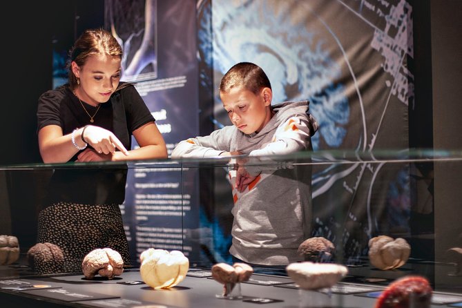 Body Worlds Amsterdam Admission Ticket - Body Worlds Amsterdam, in plain terms