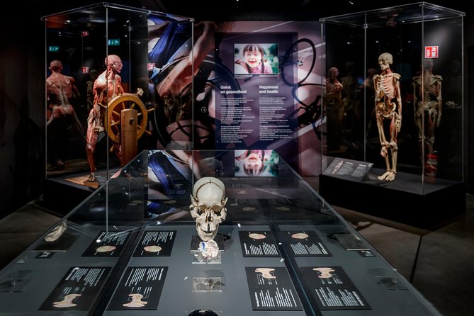 Body Worlds Amsterdam Admission Ticket - What you’ll actually see inside: the Happiness Project